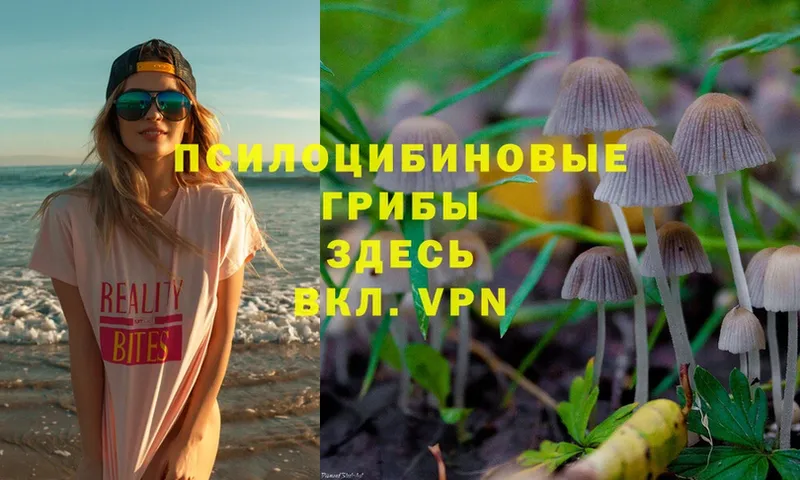 Псилоцибиновые грибы Magic Shrooms  как найти   Чехов 